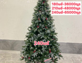 Տոնածառ կոներով,180-240սմ,եղևնի ,tonacar