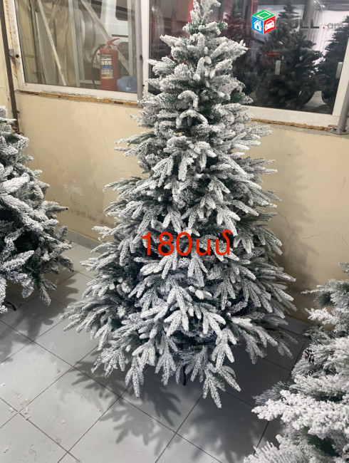 Տոնածառ ,եղևնի 1500-300սմ,tonacar