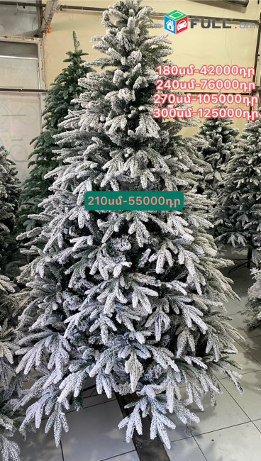 Տոնածառ ,եղևնի 1500-300սմ,tonacar
