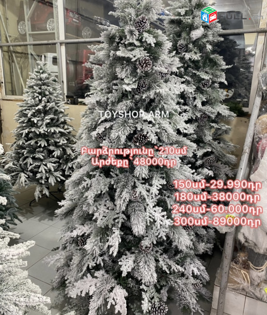 Tonacar,exevni ,Տոնածառ 150-300սմ