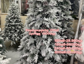 Tonacar,exevni ,Տոնածառ 150-300սմ