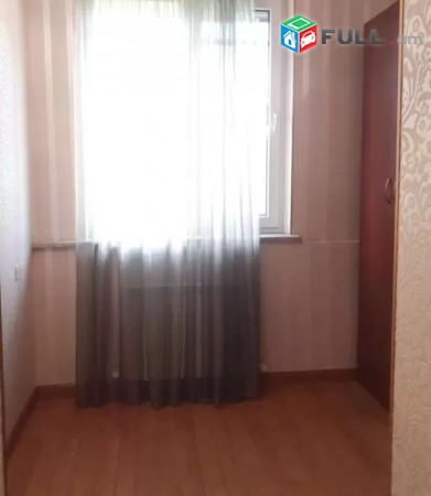 Gexecik bnakaran Tigran Mec poxocum