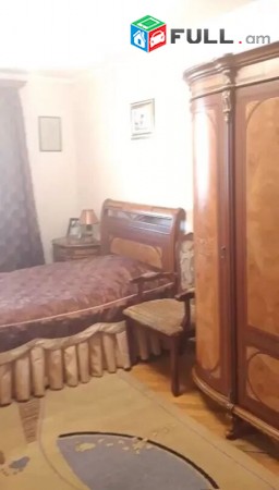 Varcov bnakaran Leningradyan poxocum, Hamaliri mot