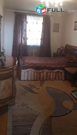 Varcov bnakaran Leningradyan poxocum, Hamaliri mot