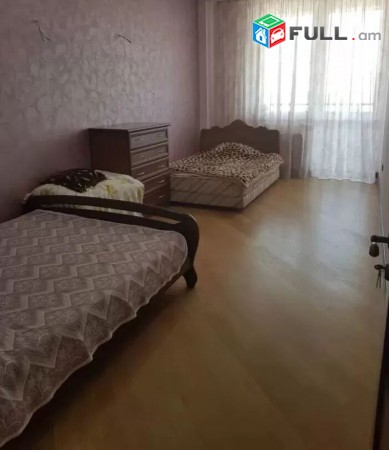 Varcov e trvum gexecik bnakaran Nairi Zaryan poxocum, norakaruyc shenqum