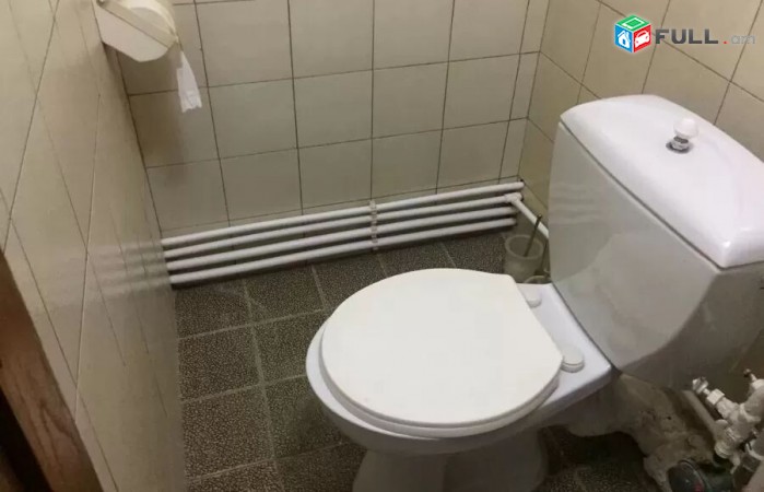 Vardzov e trvum bnakaran A. Avetisyan poxocum