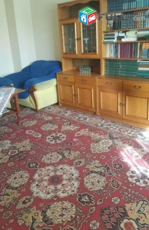 Trvum e vardzov bnakaran Manumentum