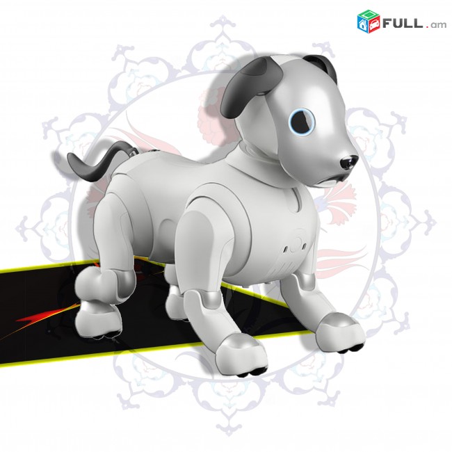 Sony Aibo Robot - պրոֆեսիոնալ ռոբոտ շուն - am - az - tr - ge