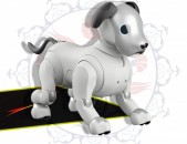 Sony Aibo Robot - պրոֆեսիոնալ ռոբոտ շուն - am - az - tr - ge