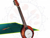 Gold Tone EB-6 E-Banjo - էլեկտրո լարային բանջո