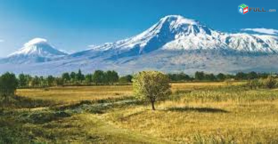 Մերձավան,Այգեկ գյուղի մոտ,1500քմ հարթ հող,պարիսպապատ,հոսանք,ջուր,պահակի բուտկա