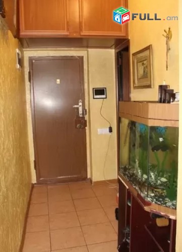 2 senyakanoc bnakaran Nor-Norqi 2 zangvacum Kod - 20767