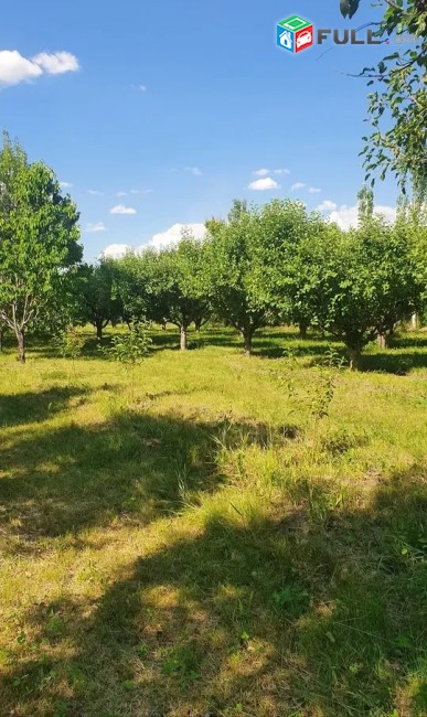 Հողատարածք Ձորաղբյուրում 9300 ք/մ. SKH076