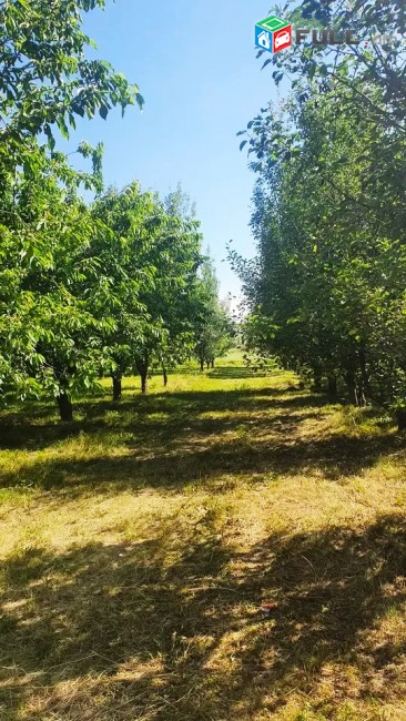 Հողատարածք Ձորաղբյուրում 9300 ք/մ. SKH076