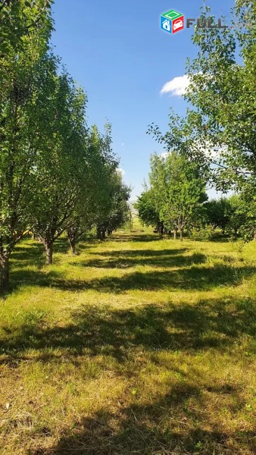 Հողատարածք Ձորաղբյուրում 9300 ք/մ. SKH076