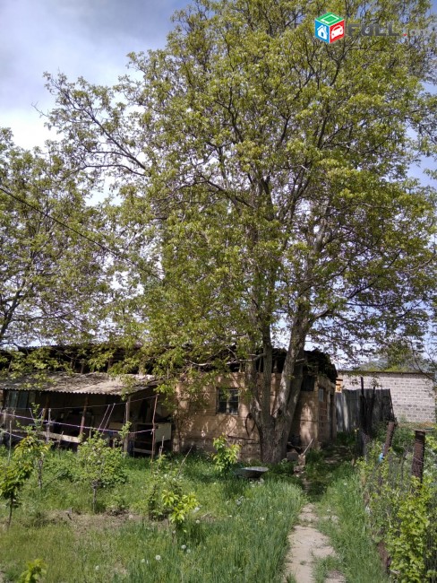Մատչելի Առանձնատուն. Կամարիսում HS022