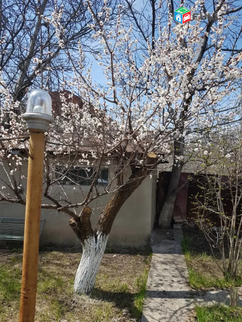 Լավ առաջարկ Առանձնատուն. Ջրվեժում TG237