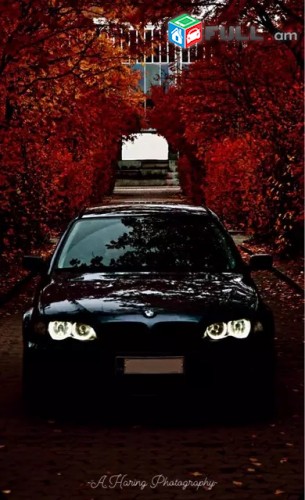 Bmw e 46 angel eyes