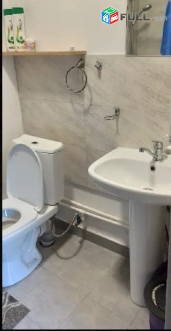 ✅Մեկ հարկանի քարե տուն Դիլիջանում, 52 ք.մ., ✅եվրովերանորոգված