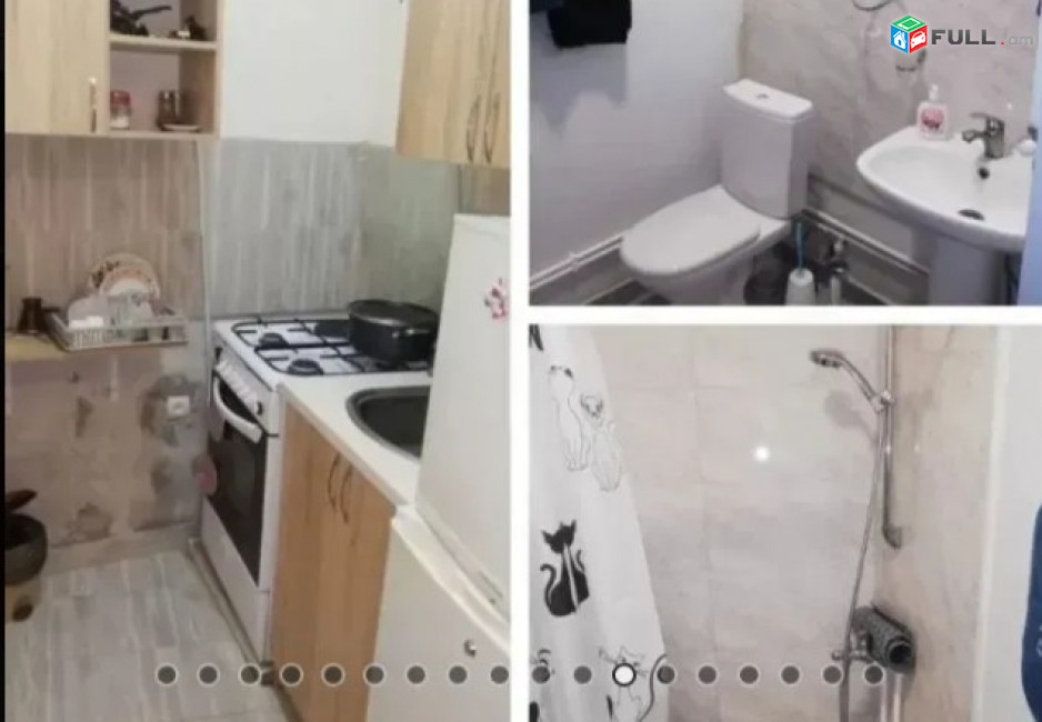 ✅Մեկ հարկանի քարե տուն Դիլիջանում, 52 ք.մ., ✅եվրովերանորոգված