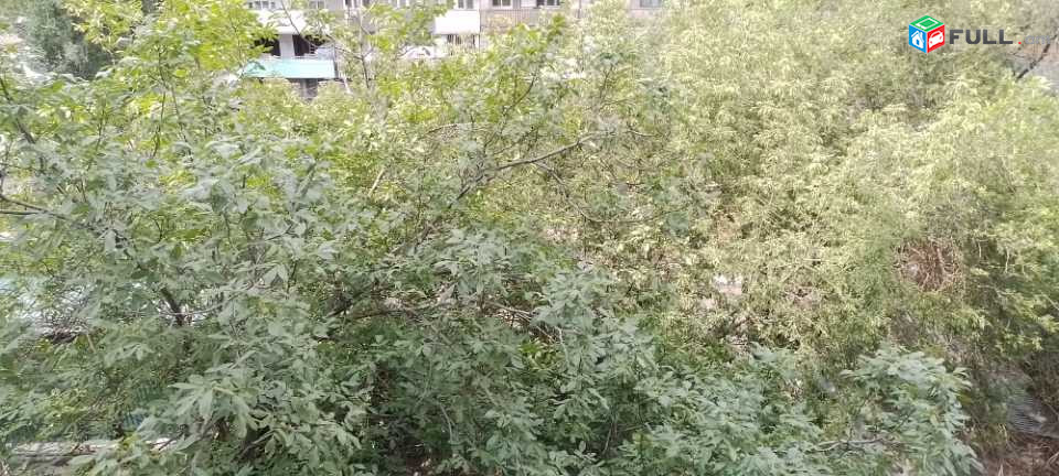 Նար Դոս փողոց 1 շենք ԵՐԵՎԱՆԻ ԱԼՐԱՂԱՑ ի մոտ Սիլաչի Փեթակ, Սուրմալու, Տաշիր, Ռոսիա Մոլլ, Երևան Մոլլ առևտրի կենտրոնների մոտ բնակարանը վերանորոգման կարիք ունի