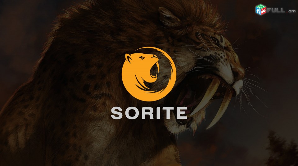 Լոգոտիպի դիզայն, Дизайн Логотипов, Logo design