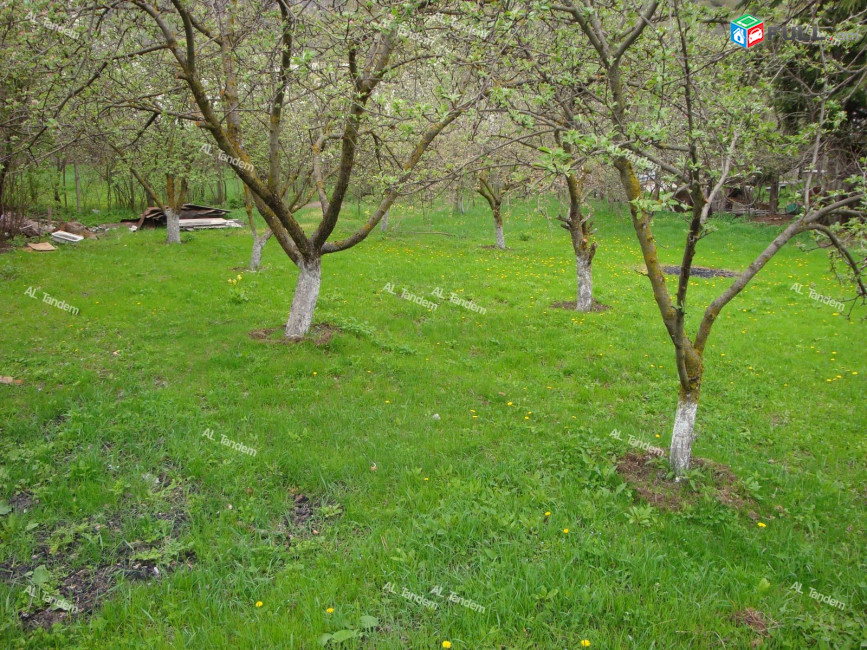 Հողատարածք Դիլիջանում