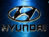 Hyundai Elantra Sonata Veloster Tucson Santa Fe Zapchast