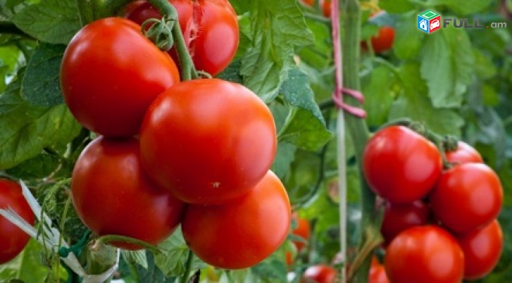Բեռի, ծանրոցի տեղափոխում Ռոստով, Դոնի Ռոստով բեռի առաքում
