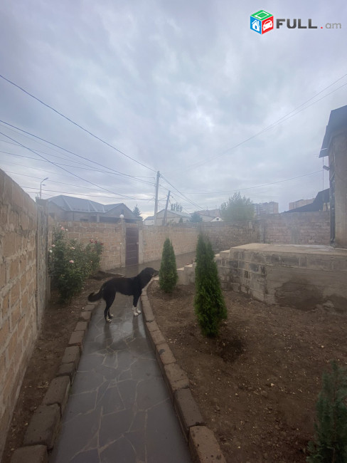 LA08947  Վարձով 5 սենյականոց առանձնատուն Ավան , Պարույր Սևակ թաղամաս