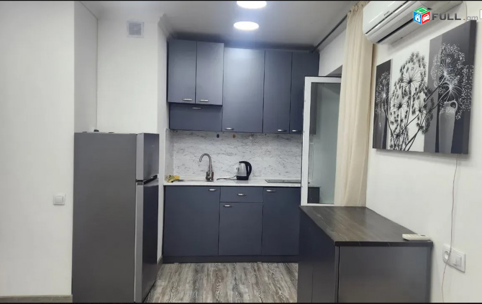 LA10314 Վարձով 2 սենյականոց  բնակարան Գրիբոյեդովի փողոցում