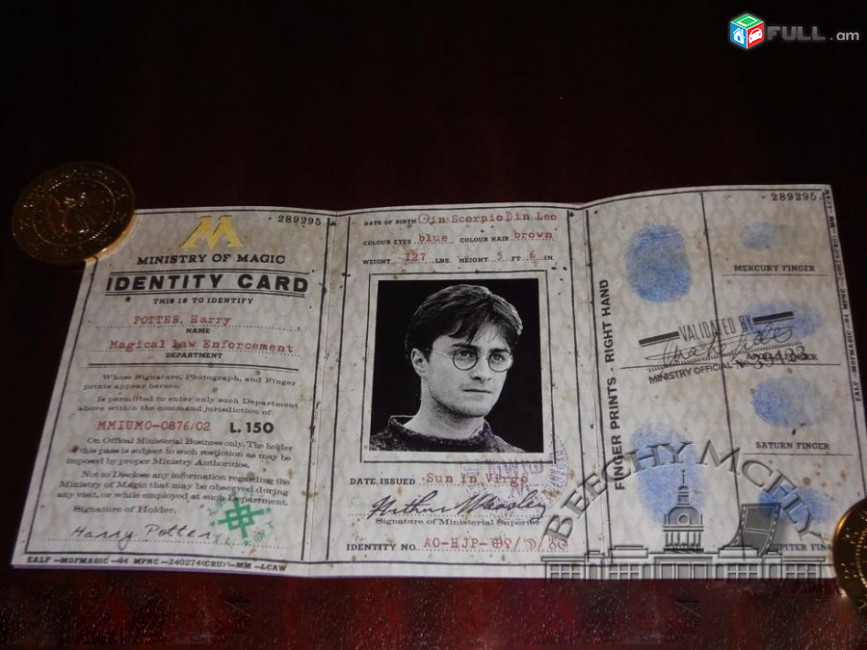 Harry Potter Ministry of Magic ID քարտ