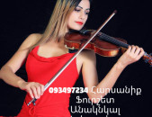Jutakahar  093497234 լարային քառյակ  violin kvartet qaryak