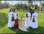 Jutakahar  093497234 լարային քառյակ  violin kvartet  կվարծետ qaryak