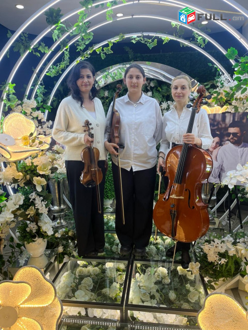 Ջութակահար ,լարային քառյակ ,կվարտետ ջութակահարներ larain kvartet երգչուհի հարսանեկան դրսի երաժիշտներ 