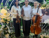 Ջութակահար ,լարային քառյակ ,կվարտետ ջութակահարներ larain kvartet երգչուհի հարսանեկան դրսի երաժիշտներ 