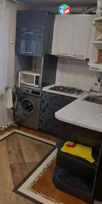 Vardzov bnakaran Ajapnyakum 2503