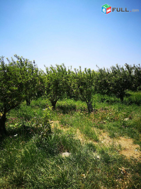 Վաճառվում է հողատարացք
