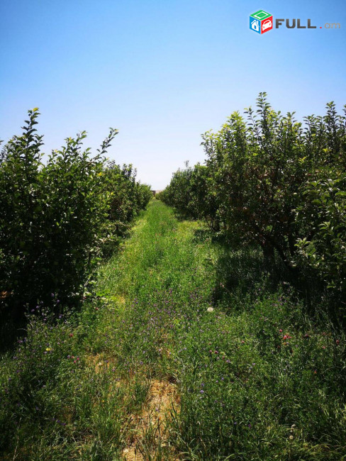 Վաճառվում է հողատարացք