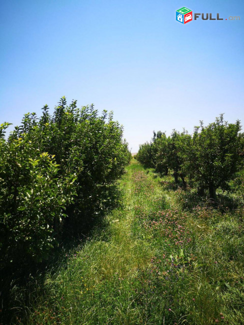 Վաճառվում է հողատարացք