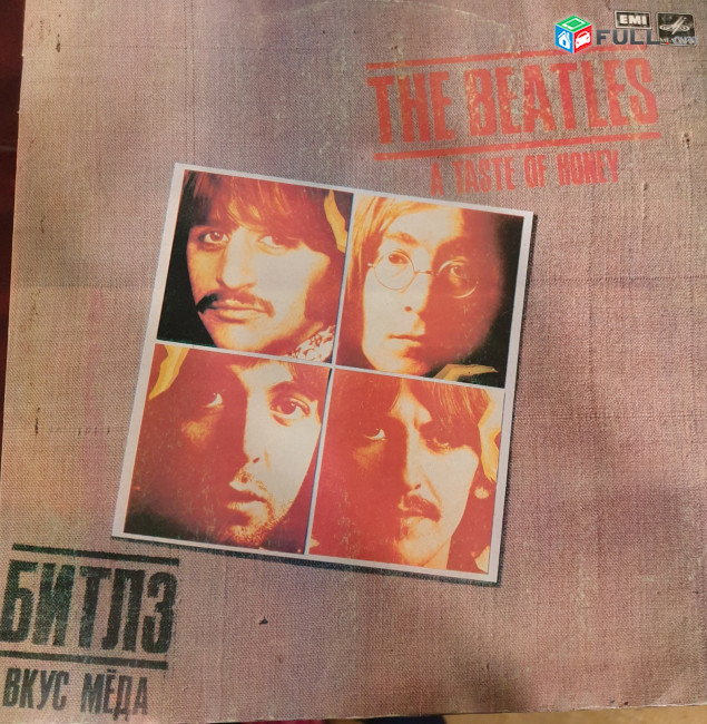 The Beatles - Vinyl