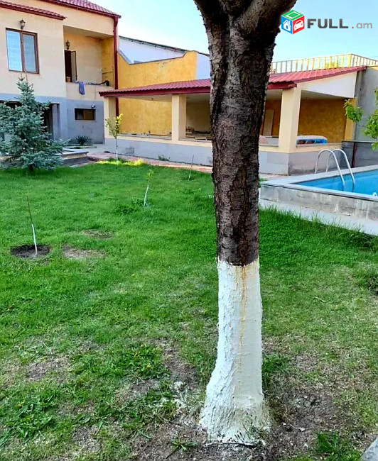 Վարձով Առանձնատուն Լողավազանով
