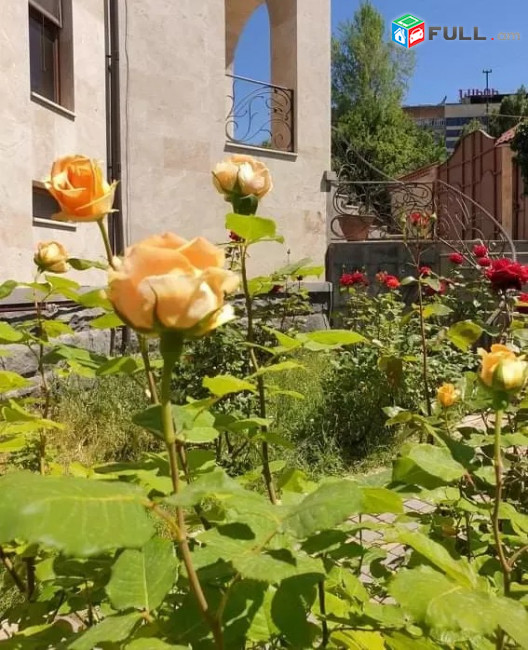 Վարձով Առանձնատուն Կենտրոնում