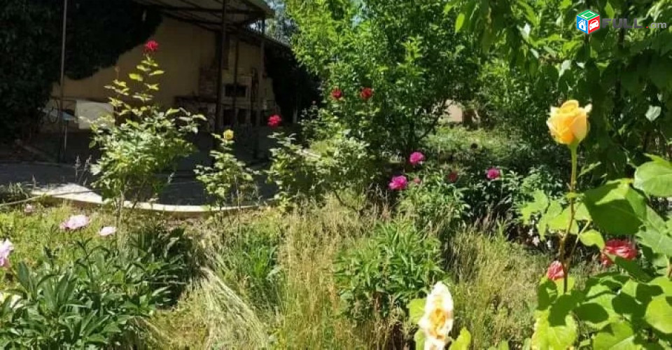 Վարձով Առանձնատուն Կենտրոնում