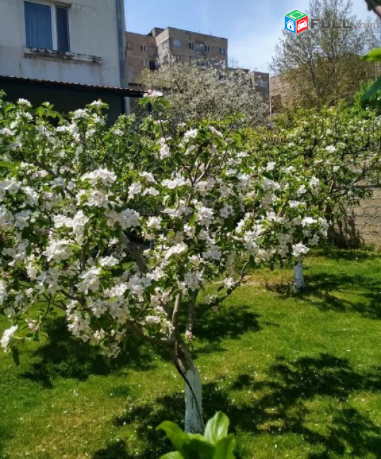 AV0358 Վարձով է տրվում 2 հարկանի առանձնատուն Դավիթաշեն 1-ին թաղամասում