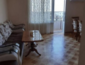 Varcov bnakaran Qanaqer Zeytunum CT020