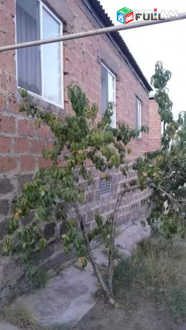 ՇՏԱՊ 
