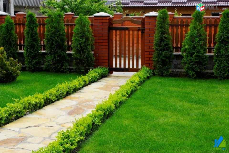 Ծառերի էտում Ծառերի խնամք, ծառերի սրսկում, կանաչապատում