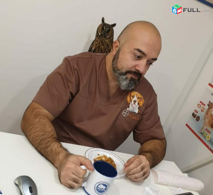 Անասնաբուժ