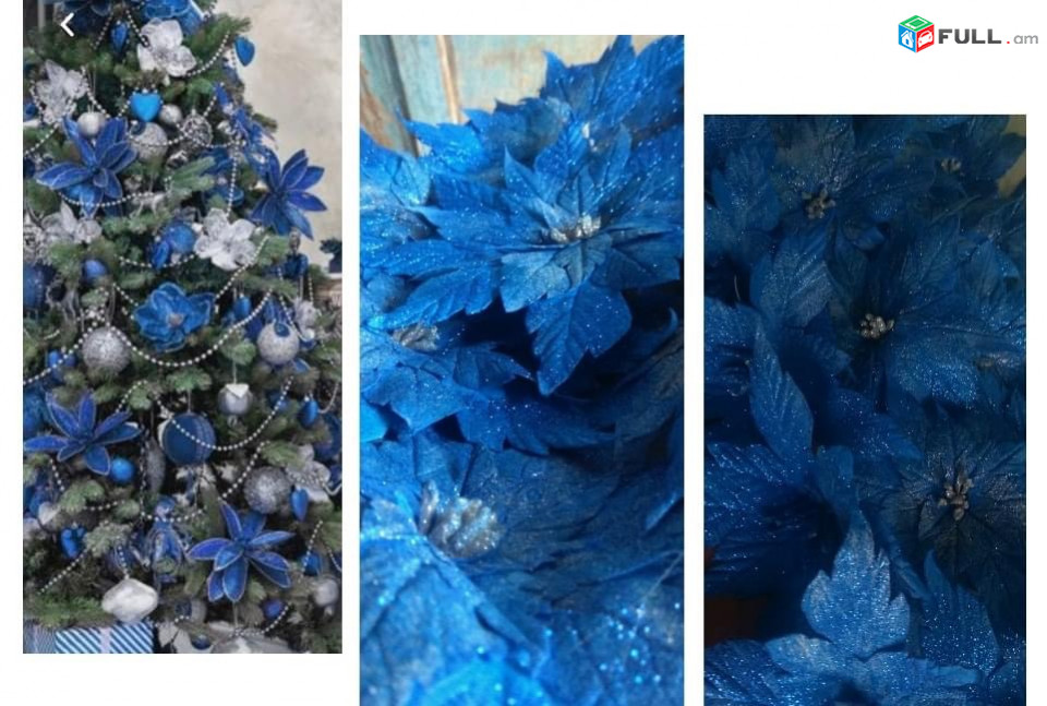 Ամանորյա ծաղիկներ